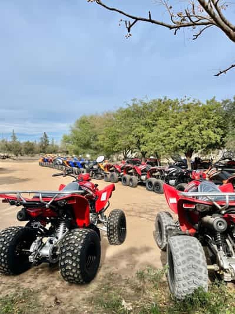 Billet Hammamet : Sortie En Quad Dans Les Collines