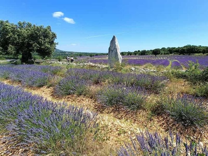 Billet Ardèche : visite guidée sur la lavande et distillation en direct