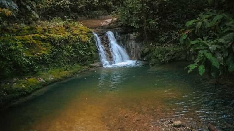Billet Excursion à Mataracú - Parc Amboró