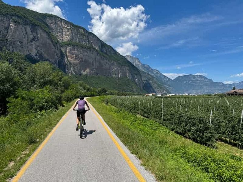 Billet Trente : visite en vélo électrique dans les vignes avec dégustation de vin