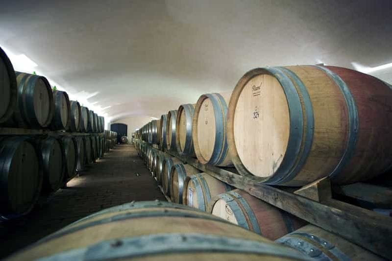 Billet Il Molino di Grace : visite du vignoble et de la cave avec dégustation de vins