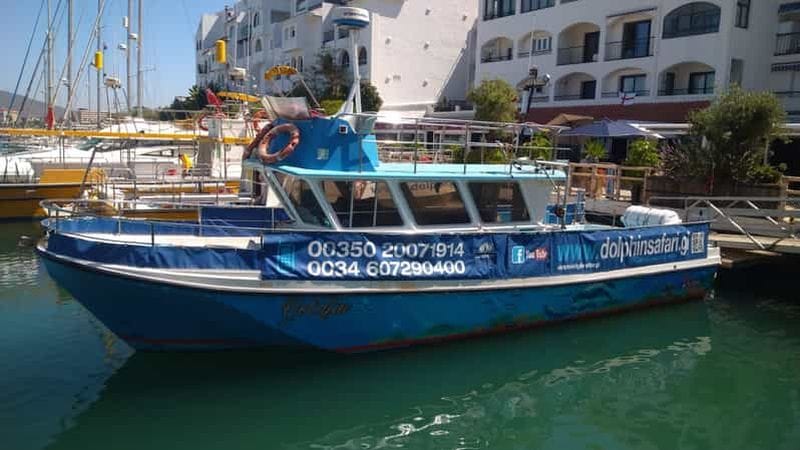 Billet Gibraltar : sortie en bateau pour l'observation des dauphins