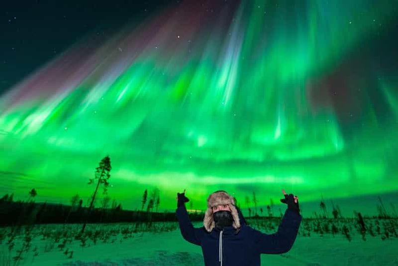 Billet Rovaniemi : observation garantie des aurores boréales en petit groupe