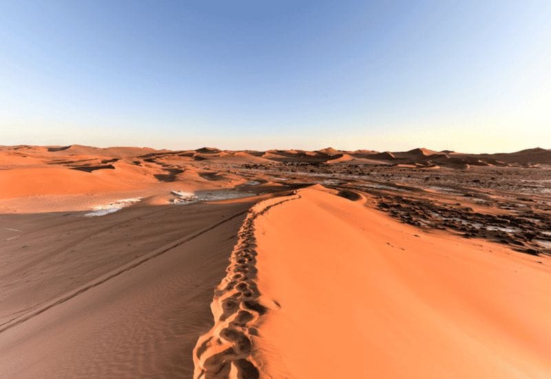 Billet Sossusvlei : visite guidée des dunes au lever du soleil et de Deadvlei