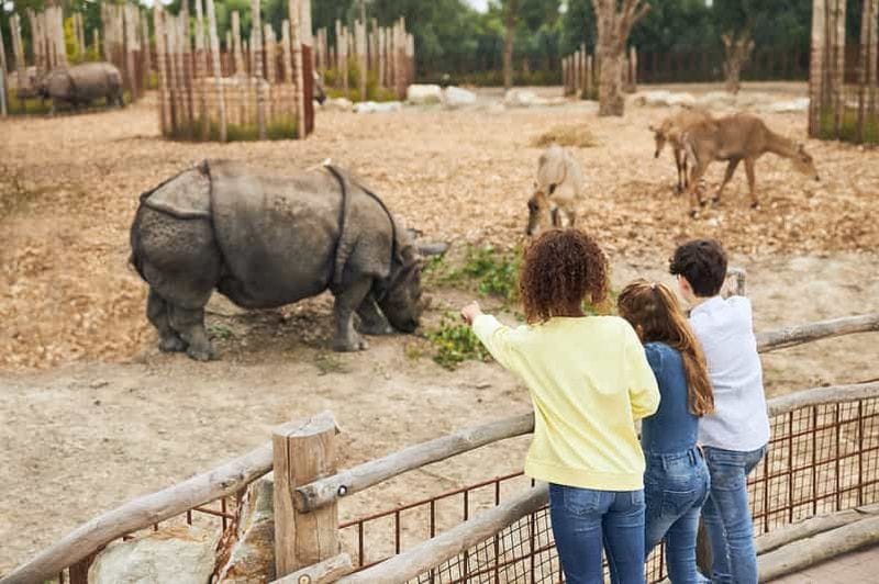 Billet Billets d'entrée au zoo d'Eindhoven