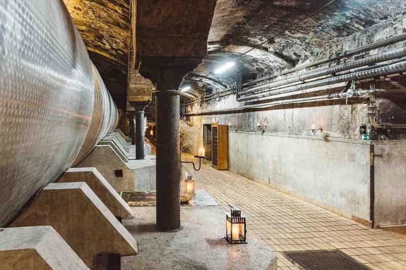 Billet Visites guidées de vignobles à Maribor et dans la région de la Styrie slovène