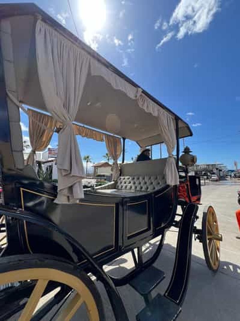 Billet Visite de la ville en calèche électrique.