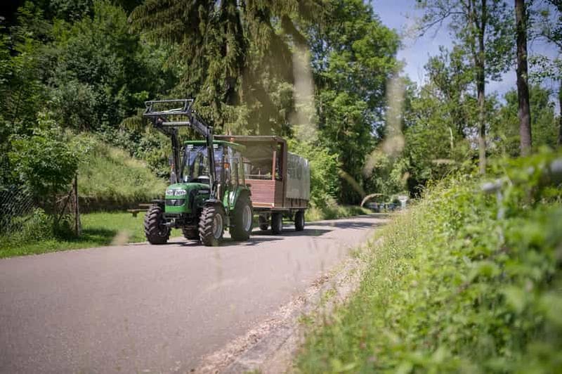 Billet Stuttgart : visite d'un vignoble en charrette couverte