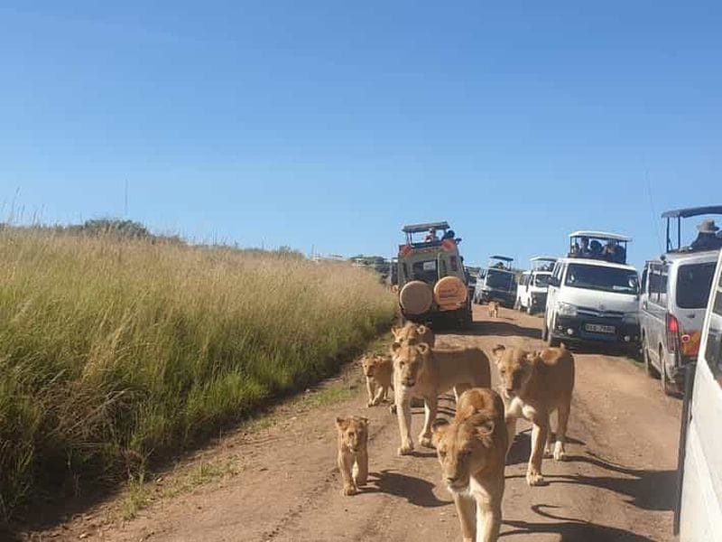Billet Depuis Nairobi : safari de groupe de 3 jours et 2 nuits à Masai Mara