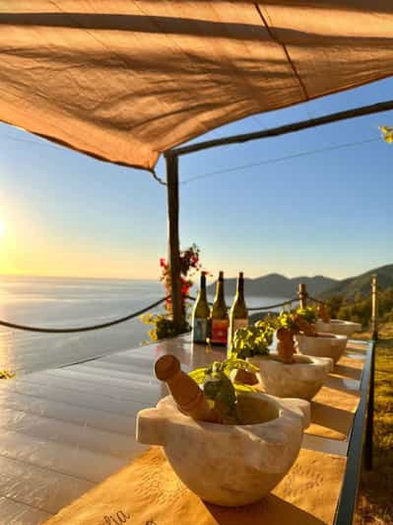 Billet Volastra : dégustation de vin BarCa aux Cinque Terre et cours de pesto