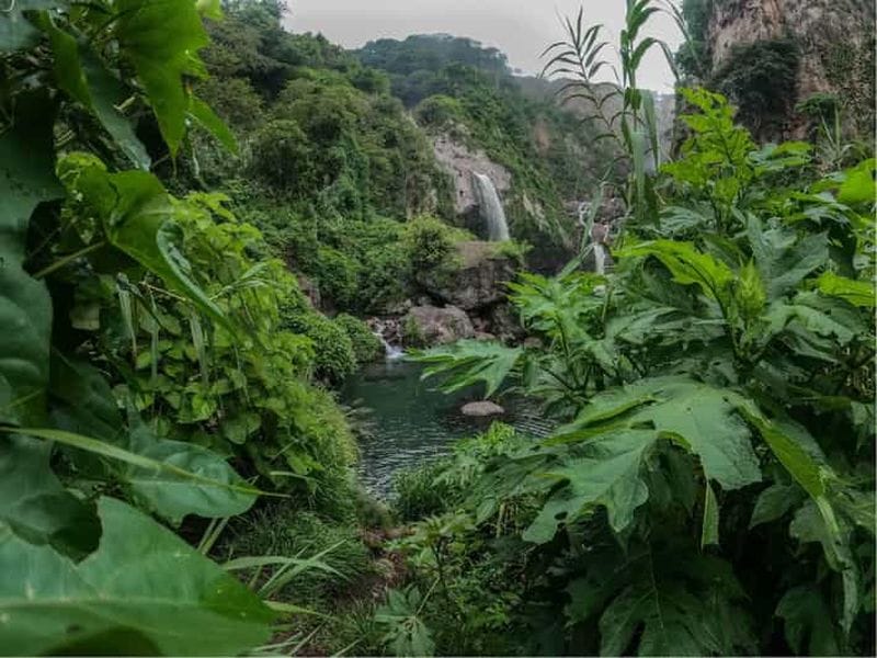 Billet Nager dans des sources et des cascades luxuriantes à Guadalajara