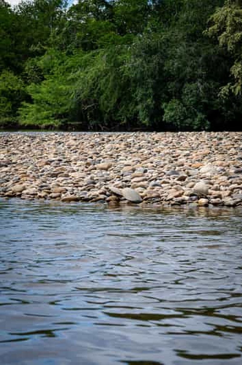 Billet Visite de la communauté Biodiversité Latatacoa Désert Villavieja