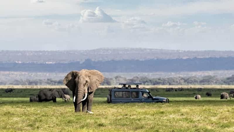Billet Excursion d'une journée en groupe au cratère du Ngorongoro.