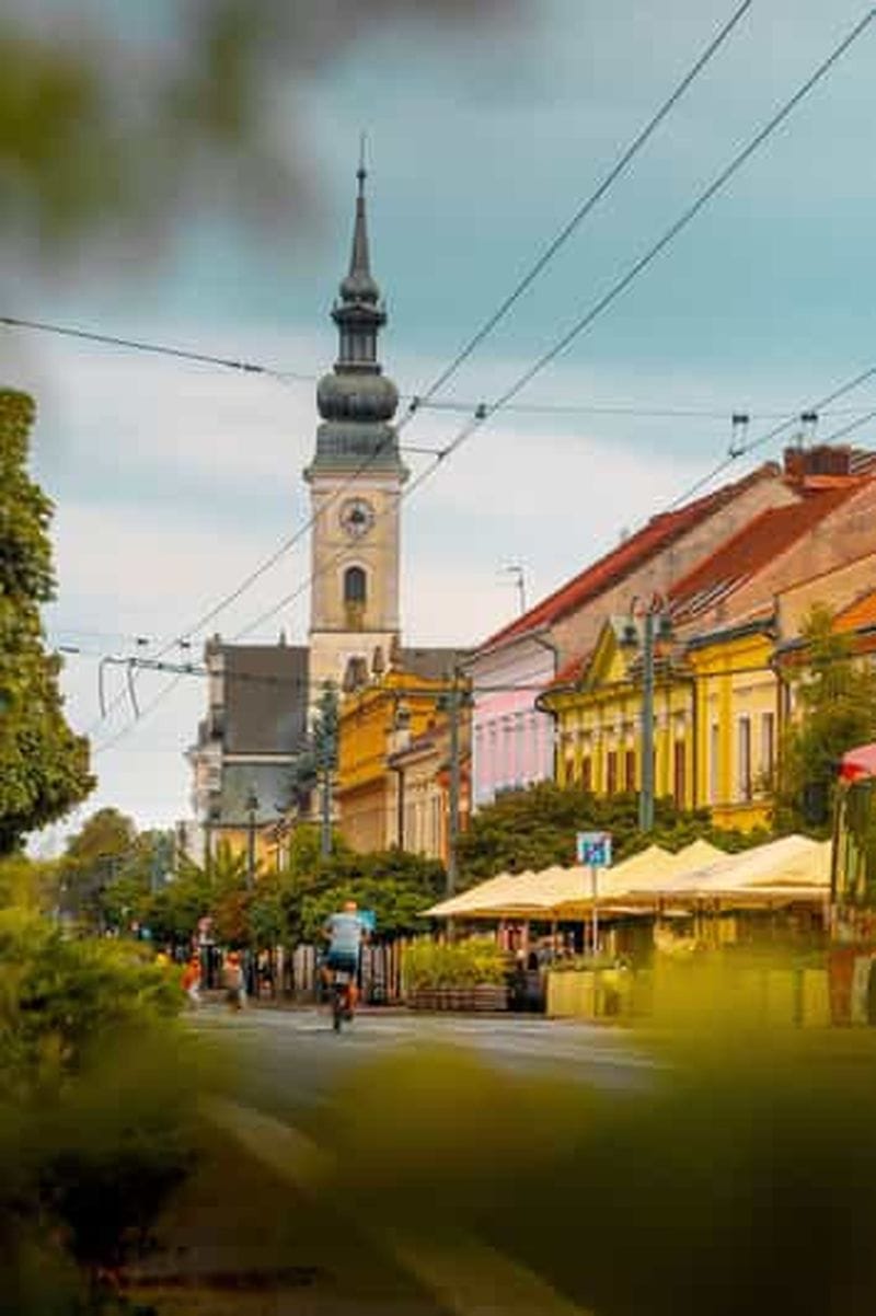 Billet Depuis Belgrade : journée privée à Novi Sad et Sremski Karlovci