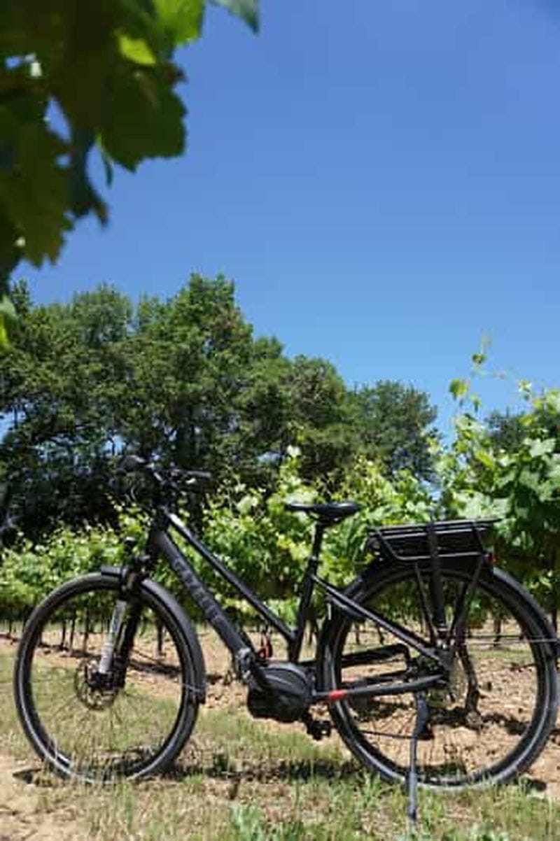Billet Vignoble des Alpilles à vélo