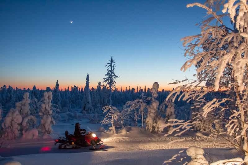 Billet Rovaniemi : Safari en motoneige et soirée autour d'un feu de camp