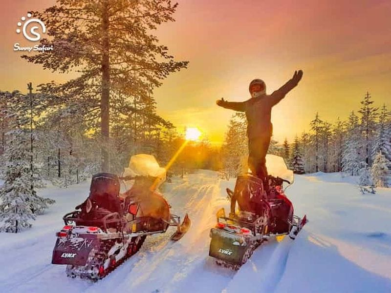 Billet Au départ de Rovaniemi : Safari en motoneige dans la nature sauvage de l'Arctique