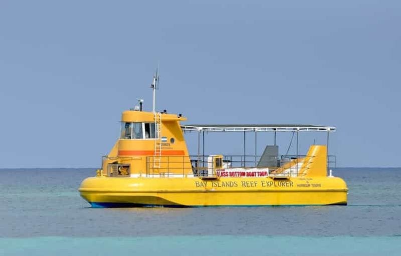 Billet Roatán - Excursion à terre en bateau à fond de verre et parc des singes et des paresseux