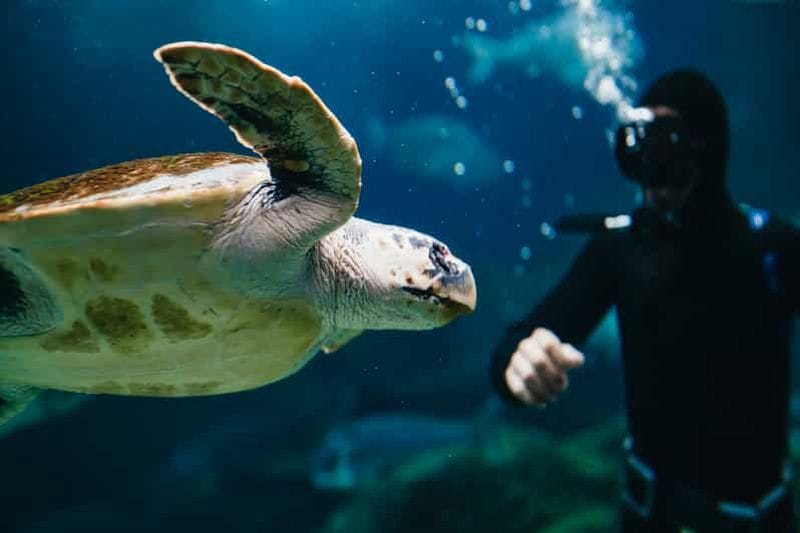 Billet Région d'Héraklion : Billet d'entrée au CRETAquarium