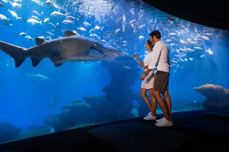 Billet Majorque : billet d'entrée pour l'aquarium de Palma avec option cinéma 3D