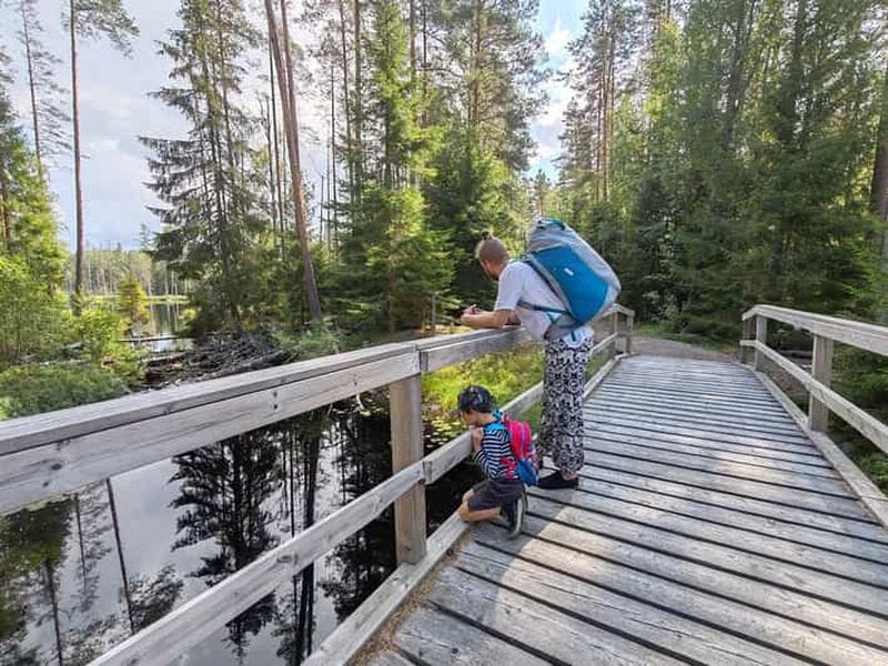 Billet Depuis Tampere : randonnée guidée au parc national de Seitseminen avec déjeuner