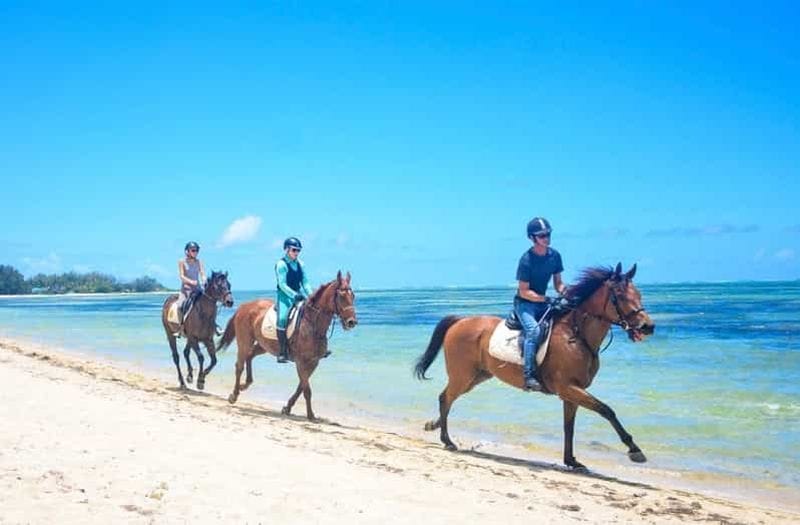 Billet Île Maurice : promenade à cheval sur la plage et visite du sud-ouest