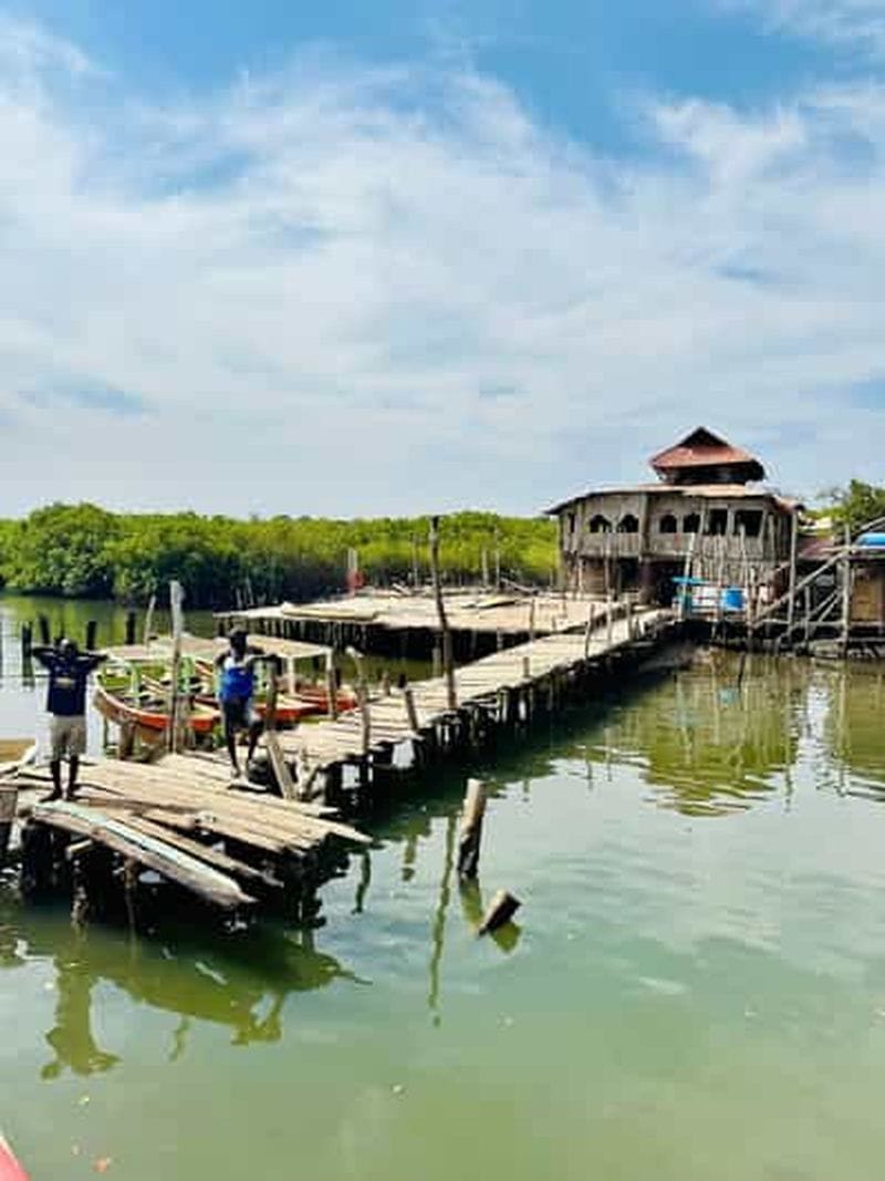 Billet Serrekunda : excursion en canoë dans les mangroves du fleuve Gambie avec pêche