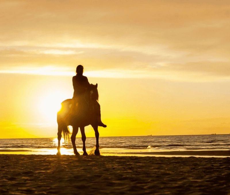 Billet Carthagène des Indes : excursion à cheval au coucher du soleil avec guide touristique