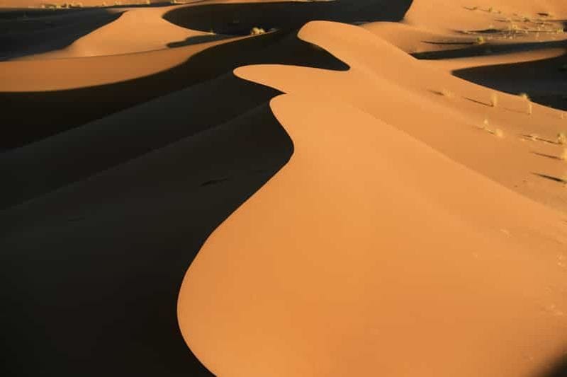Billet Excursion en 4x4 au lever du soleil dans le désert du Namib avec petit-déjeuner