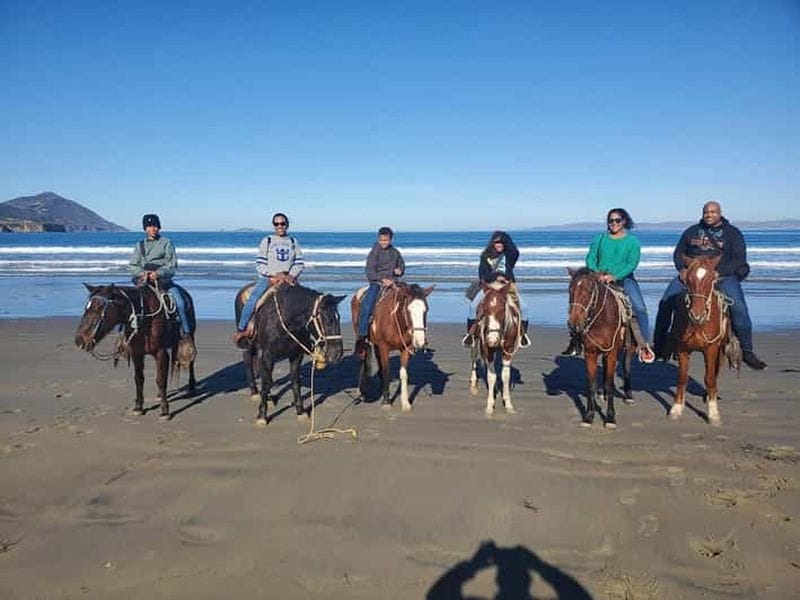 Billet Excursion sur le littoral : balade à cheval depuis le port d’Ensenada