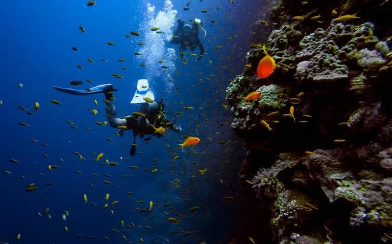 Billet Plongée sous-marine à Budva : expérience en bateau et tunnels sous-marins