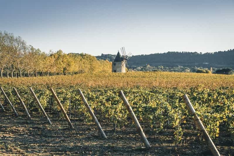 Billet Luberon : visite de la Vigne au Verre et dégustations