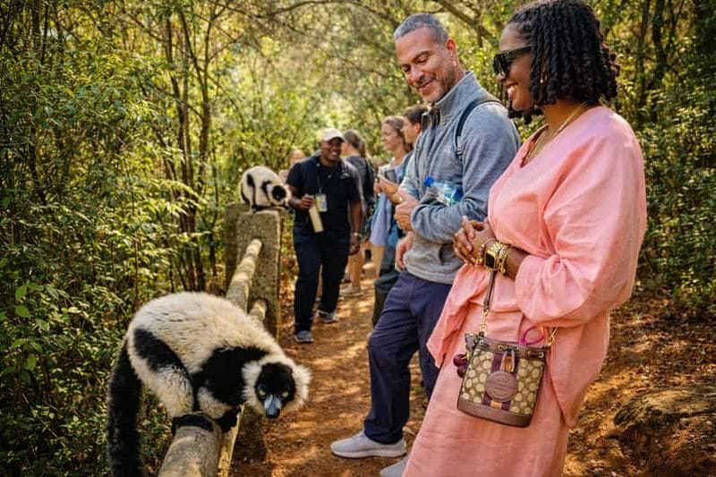 Billet Antananarivo : journée complète au parc des lémuriens, au palais de la Reine et visite citadine