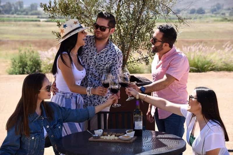 Billet 5 dégustations de vins avec visite à Valle de Guadalupe Winery