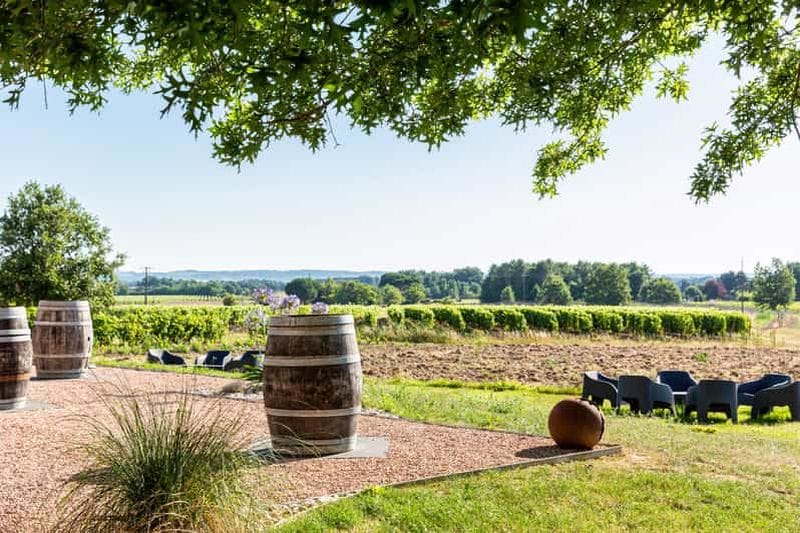 Billet Aux portes de Toulouse : de la vigne à la cave