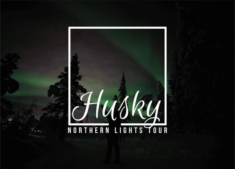 Billet Depuis Kiruna : Aventure guidée en traîneau à huskies dans le cadre d'une observation des aurores boréales