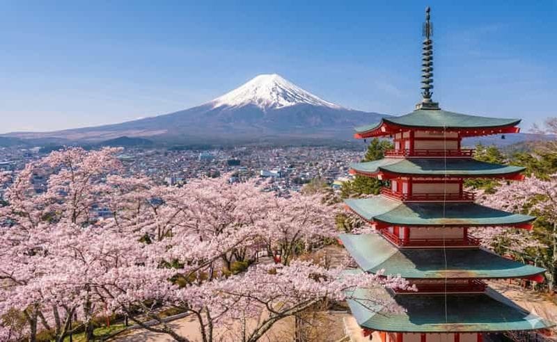Billet Depuis Tokyo : journée de visite touristique au Mont Fuji avec temps forts