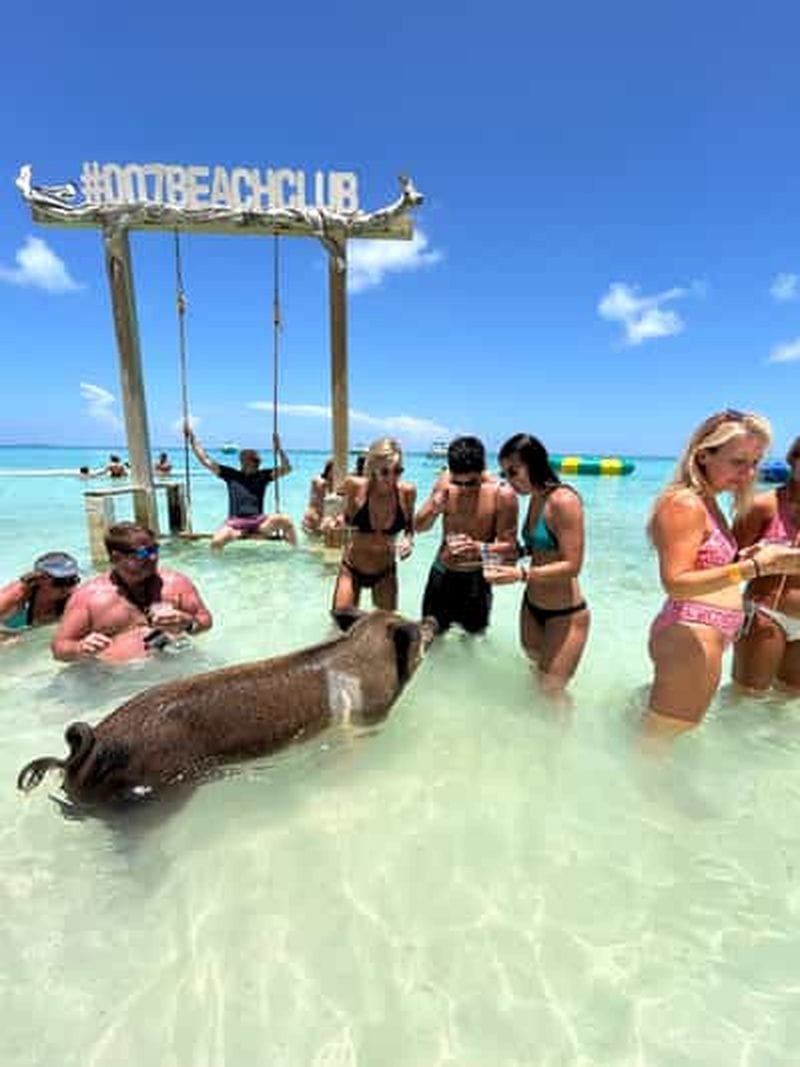 Billet Nassau : Cochons, plongée en apnée, tortues, déjeuner, club de plage privé