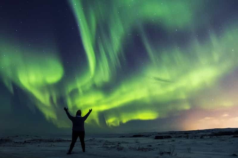 Billet Depuis Reykjavik : visite en bus des aurores boréales avec chocolat chaud