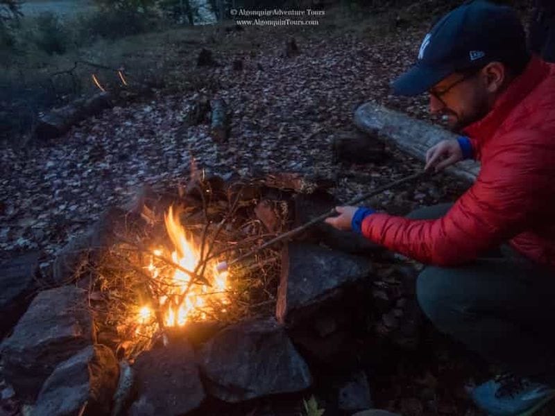 Billet Parc Algonquin : Safari de canoë-camping