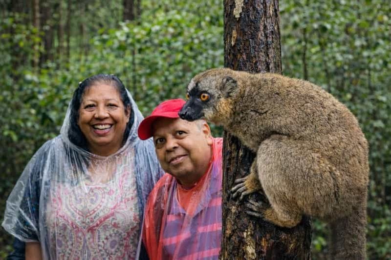 Billet Antananarivo : excursion au parc national d'Andasibe avec les lémuriens