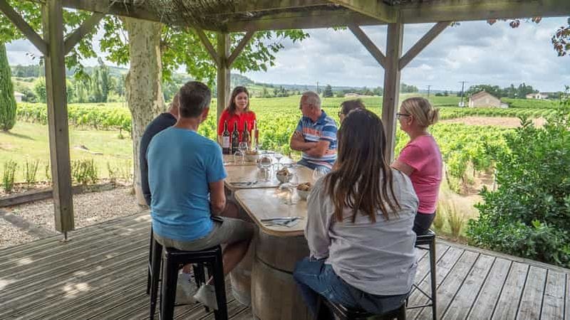 Billet Au départ de Bordeaux : excursion d'une journée à Saint-Émilion avec dégustations et déjeuner
