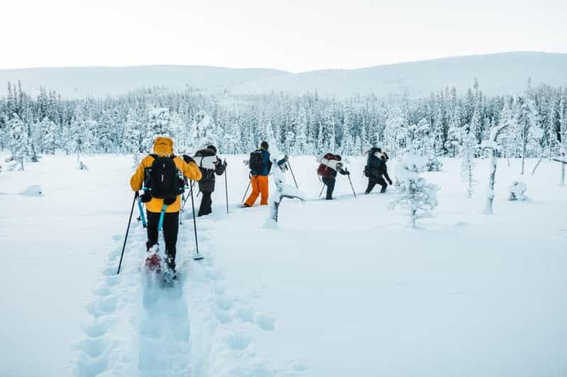 Billet Parc national de Fulufjället - Randonnée guidée avec cuisine en plein air
