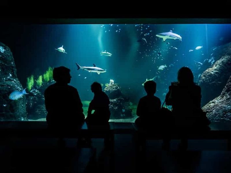 Billet Göteborg : Billet d'entrée pour l'Universeum
