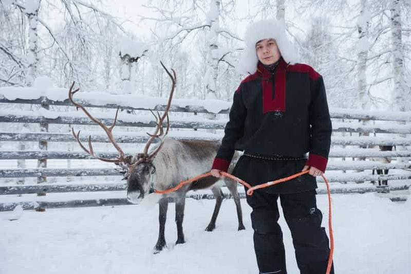 Billet Rovaniemi : Expérience avec les huskys et les rennes avec balade en motoneige