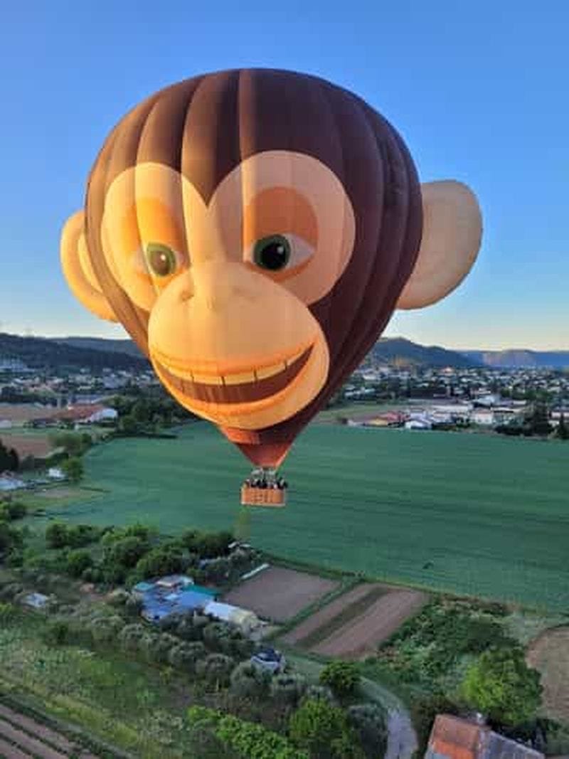 Billet Vol en montgolfière en Provence