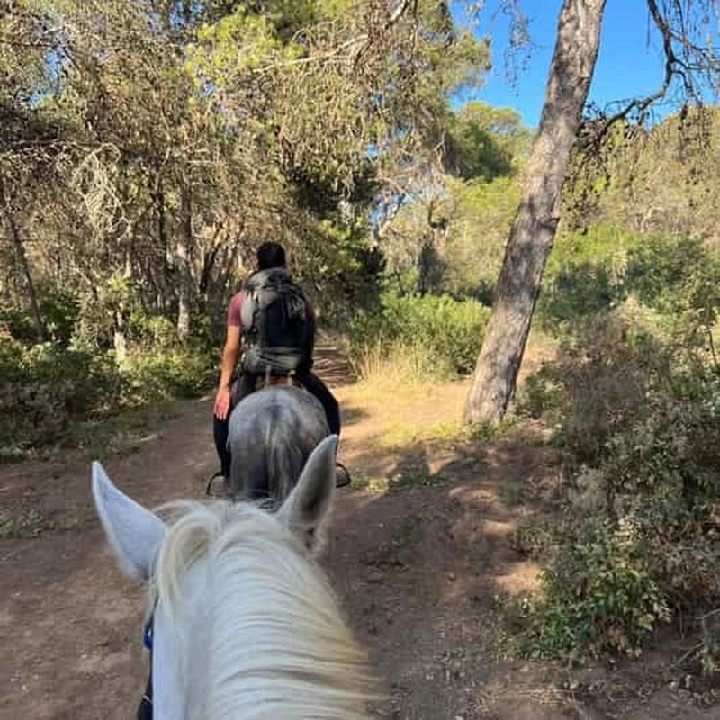 Billet Oran : Balade à cheval au coucher de soleil aux Andalouses