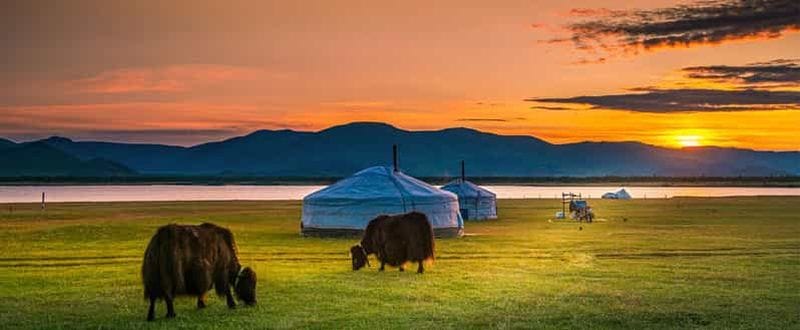 Billet Semi-Gobi/Kharakorum : voyage d'une nuit et séjour chez une famille nomade