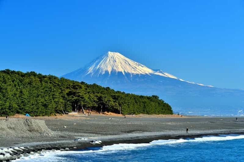 Billet Visite privative de 6 heures à Shizuoka/Shimizu avec vue sur le mont Fuji : guide uniquement