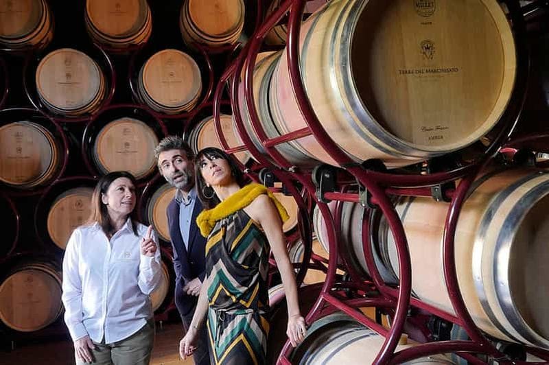 Billet Bolgheri : Visite d'un domaine viticole avec dégustation de vins